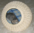 Hundebett, Katzenbett aus Rattan, inkl Matratze